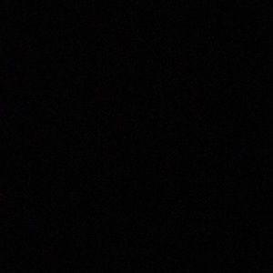 Meet your Posher, Abigail